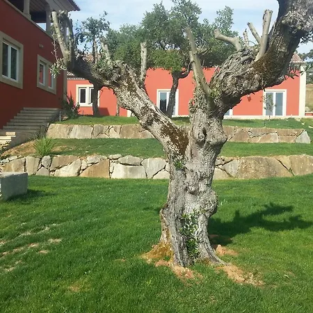 Alojamento de Turismo Rural Quinta Do Medronhal